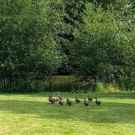 Gasthof Le Manoir De La Campagne Yebleron